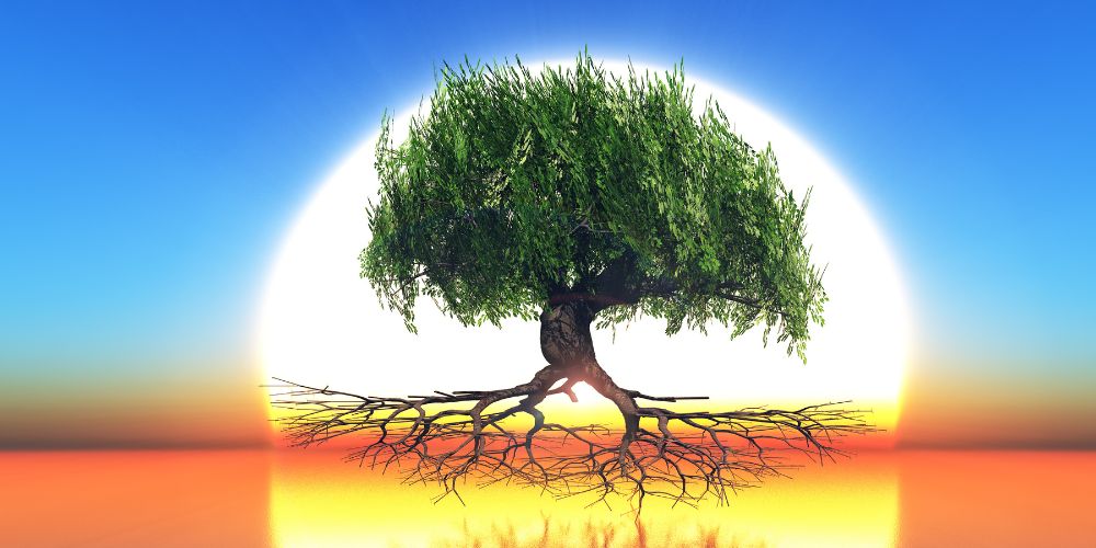 Miért tud a funkcionális medicina minden probléma esetén segíteni?