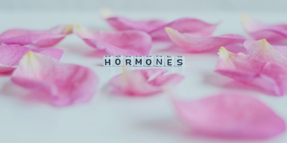 Hipotalamusz, a hormonrendszer irányítója: Tudod, hogyan lehetsz rá hatással?